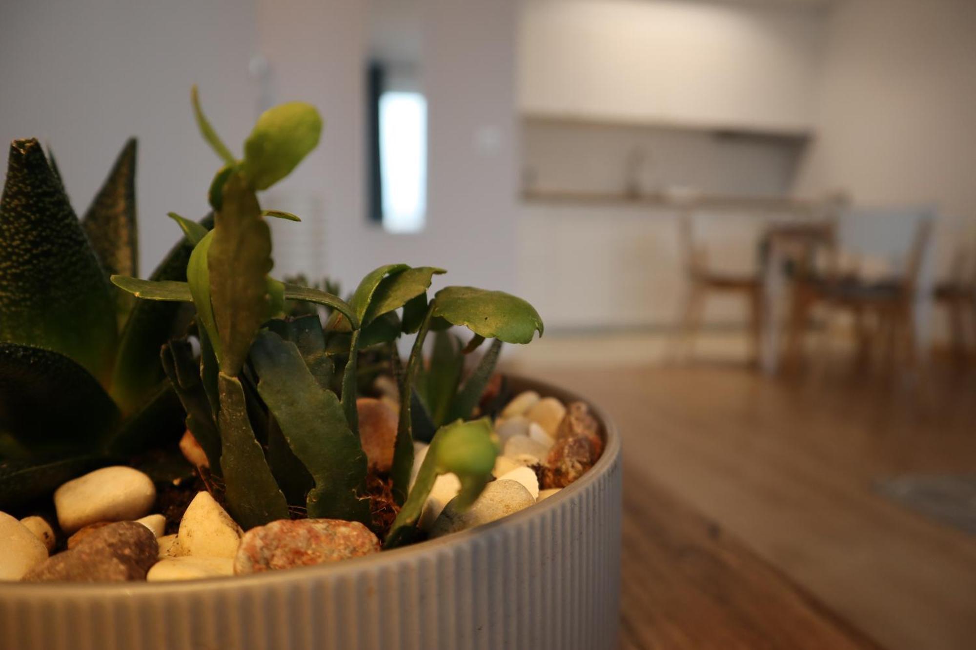 Apartament Na Ptasiej Gdańsk Kültér fotó